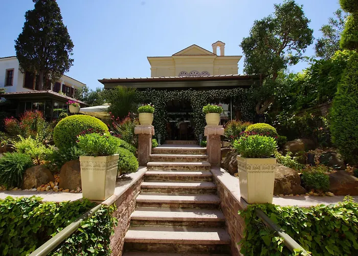 Nisi (adults Only) 4* Ayvalı