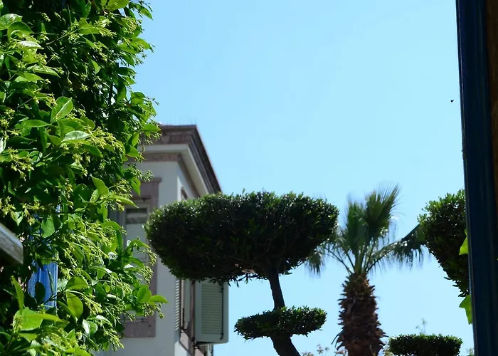 酒店 Nisi (adults Only)