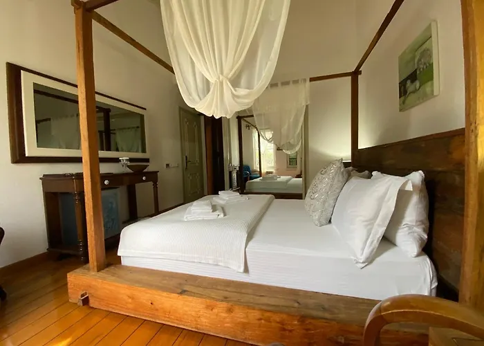 Nisi (adults Only) Ayvalı