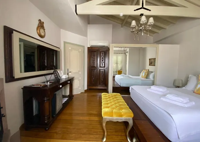 Nisi (adults Only) Ayvalı