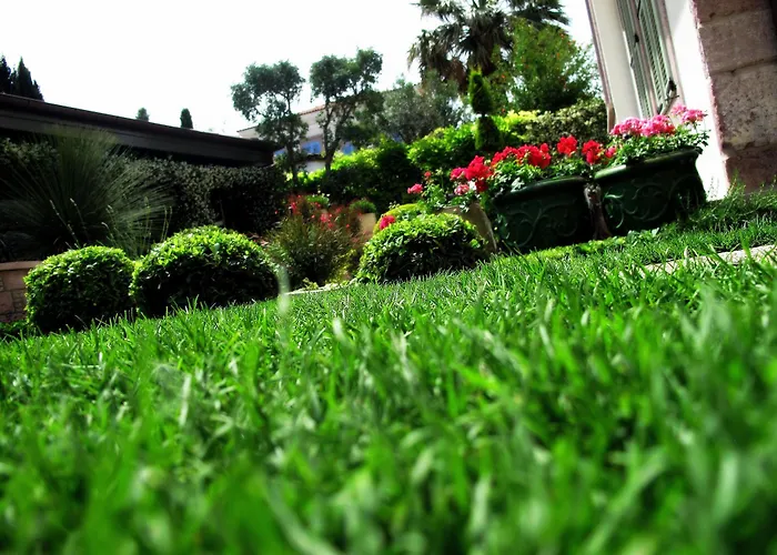 Nisi (adults Only) 酒店 Ayvalı